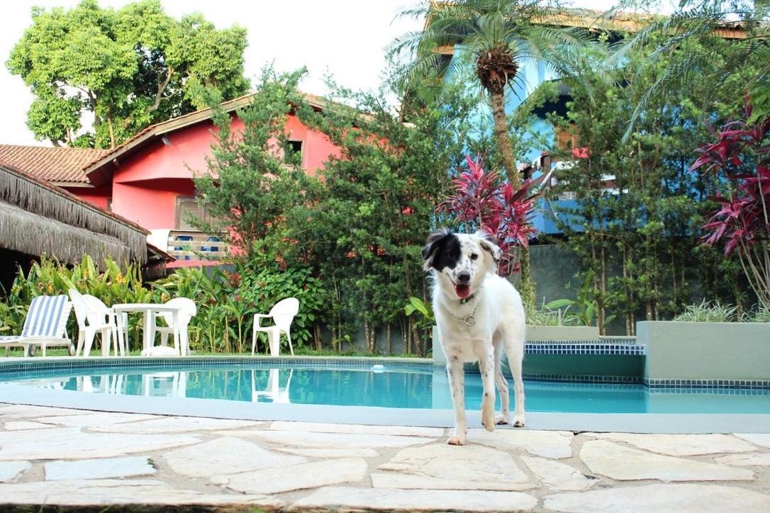 Pousada North Shore Maresias - 2 Quadras Da Praia - Casas De 2 Quartos - 80 M2 -2 Banheiros -Piscina Sauna - Estacion-Churrasq Privativa -Wifi Animais De Peq Porte Roupa De Cama E Banho Exteriör bild